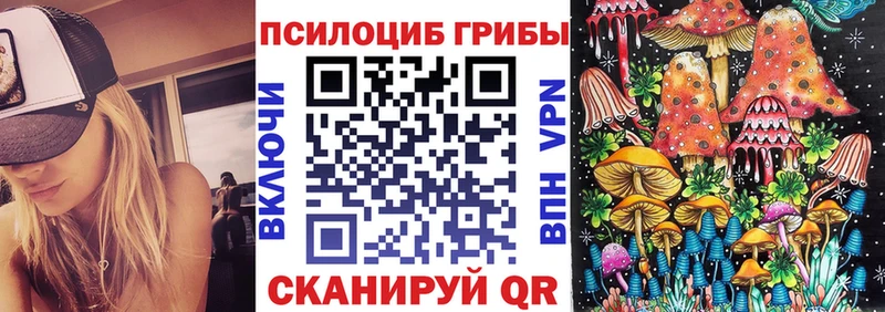 Купить где Добрянка Галлюциногенные грибы мухоморы